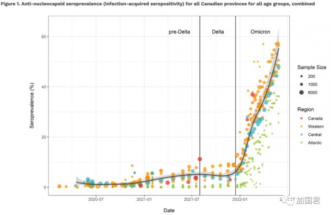 惨烈！加拿大一半人口 1700万人已感染Omicron